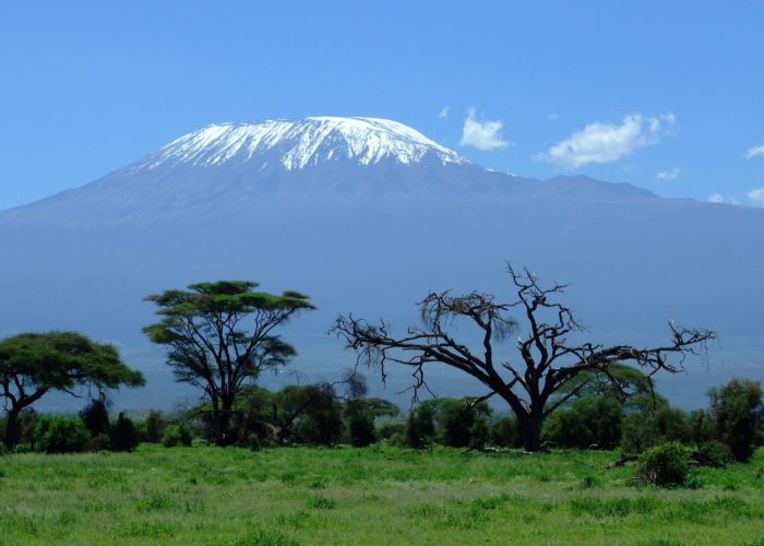 Mt. Kilimanjaro